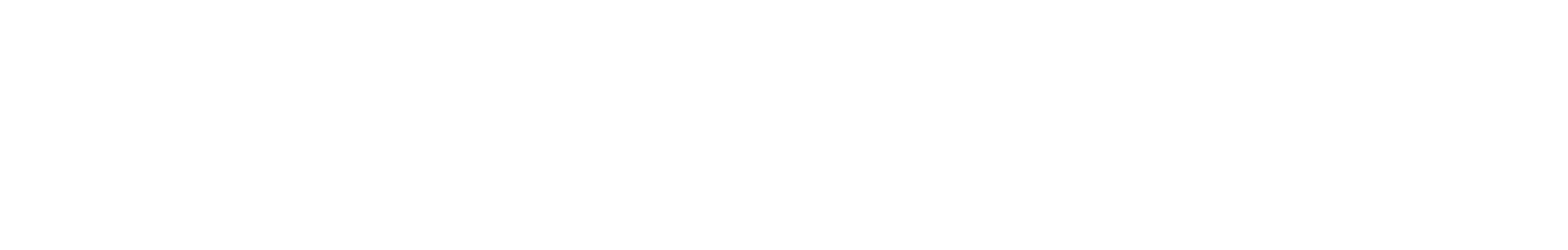 Dunkle Game Studio